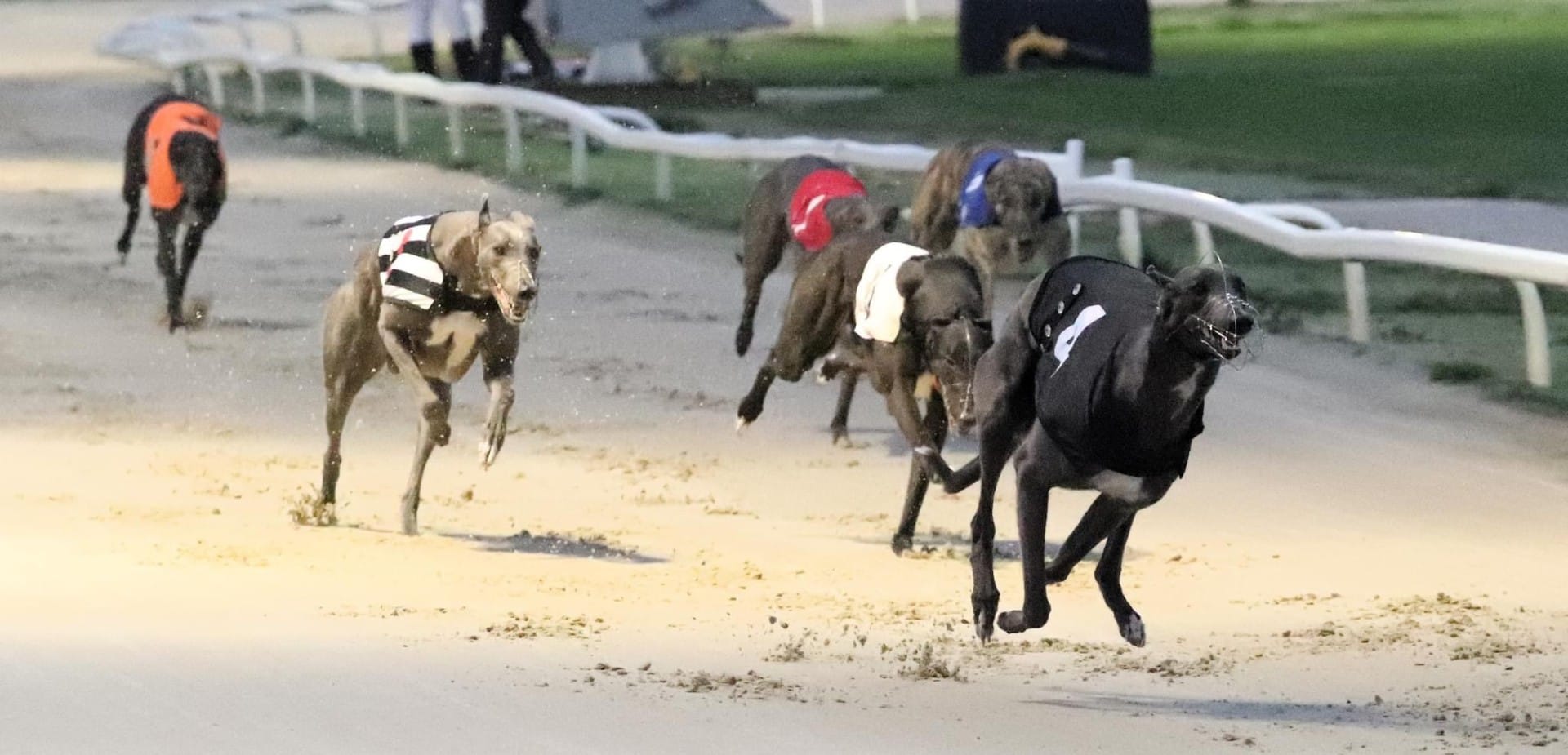 Friday's 2nd round Derby heats - replays, head-ons and reaction