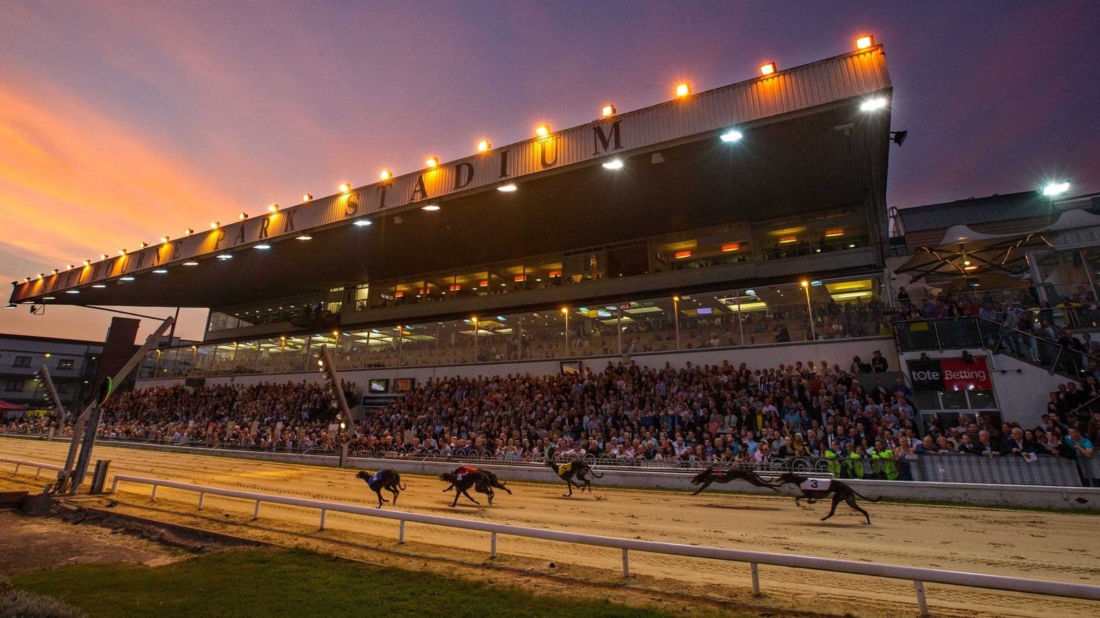 BoyleSports Irish Derby - 26 first round heats Friday/Saturday