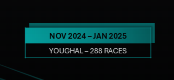 SIS statistics Nov 2024 -January 2025: Youghal