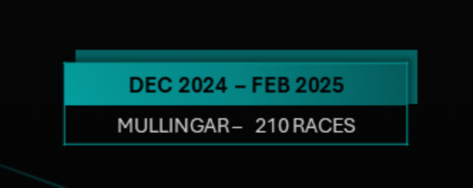 SIS statistics Dec 2024 - February 2025: Mullingar