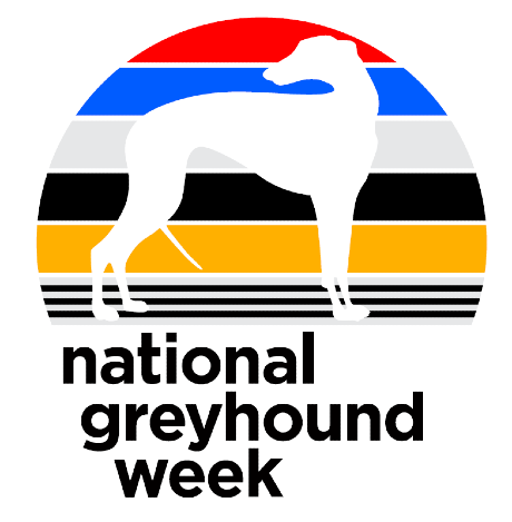 Second annual GBGB National Greyhound Week is a big success