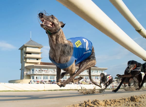 Romeo Command has to battle but goes best in Yorkshire Derby