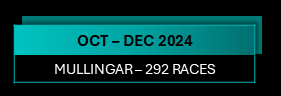 SIS statistics Oct/Dec 2024 - Mullingar