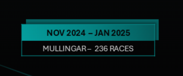 SIS statistics Nov 2024 -January 2025: Mullingar