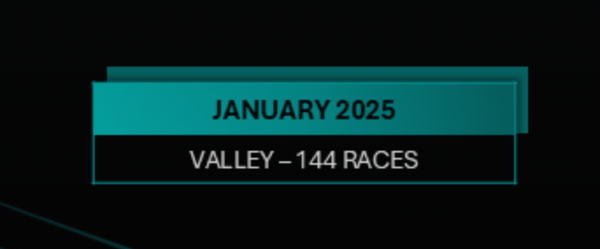 SIS statistics January 2025 - Valley