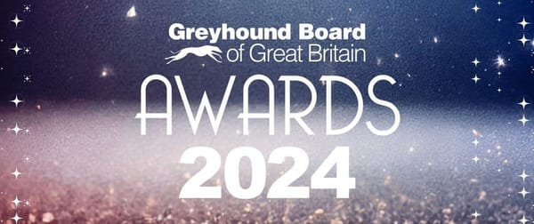 Wicky Ned acclaimed as the 2024 Greyhound of the Year