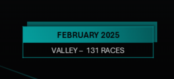 SIS statistics February 2025 - Valley