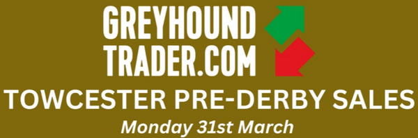 'Exceptional' lots at pre-Derby sale at Towcester on Monday