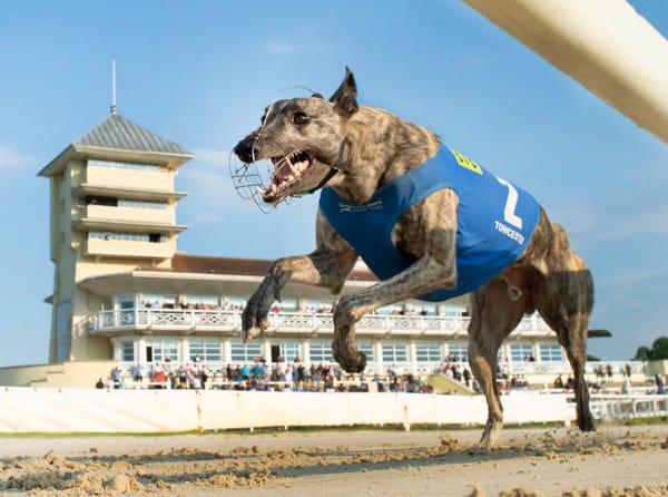 Star Sports/TRC English Derby first prize confirmed as £175,000